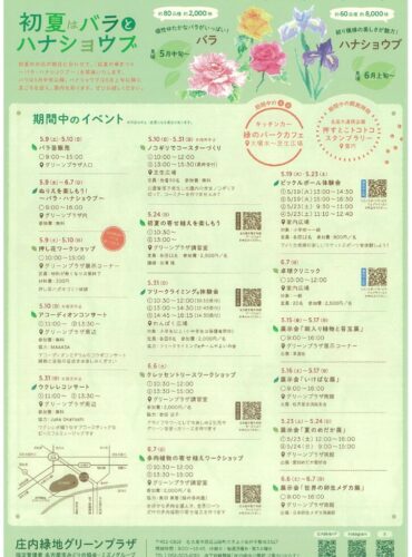 20260509庄内緑地　初夏の華まつり裏のサムネイル
